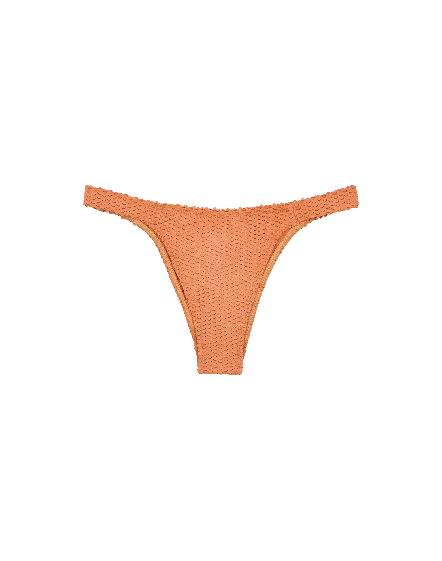 Scales Fany Bottom - Jam